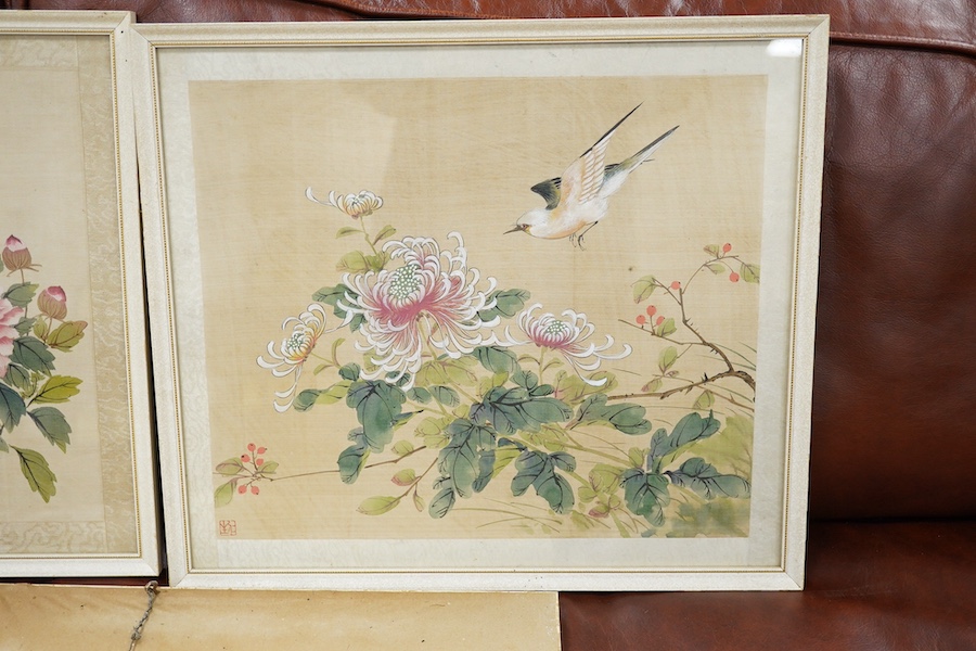 20th century, Chinese School, set of five watercolours on silk, Birds of Paradise amongst flowers, 28 x 33cm. Condition - fair